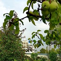 Яблоки и белый храм :: Александр Чеботарь