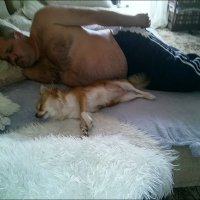17 августа - День любимого дивана !!! :: Сеня Белгородский