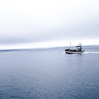 Исландия, на поиски китов :: Александр Липовецкий