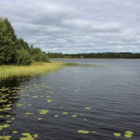 На тихом, озерном просторе. :: Галина .