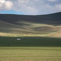 свет и тени. Пастбища Западной Монголии :: Galina 