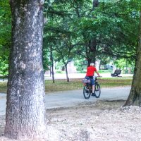 Велосипедист в парке :: Валентин Семчишин