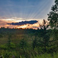 Око северной тайги, окрестности Ухты, Коми. :: Николай Зиновьев