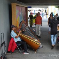 музыкант :: Светлана Баталий