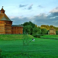 КОЛОМЕНСКОЕ :: АЛЕКСАНДР 