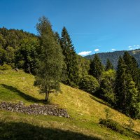 Черный лес.Территория юго-восточной Германии. :: Lucy Schneider 