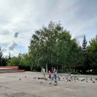 Дети и птицы. :: Динара Каймиденова