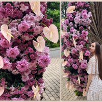 Волшебный розовый сад :: Татьяна 