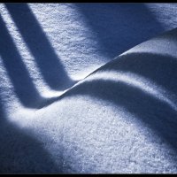 Тени на снегу :: vedin 