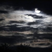 Ночь, луна :: Oleg S
