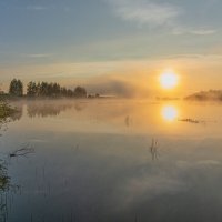 утро на пруду :: Виталий Емельянов