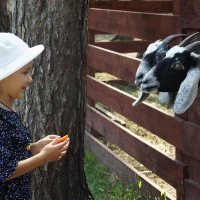 Всех нужно накормить :: Елена Кирьянова