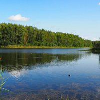 Осень наступает - лето не отступает (репортаж из поездок по области). :: Милешкин Владимир Алексеевич 