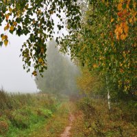 Туманное утро. :: Михаил Колосов 