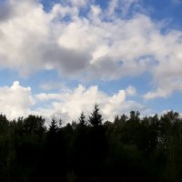 А над нами облака :: Наталья Герасимова