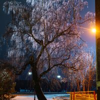 Скоро наступит время ледяных дождей :: Дмитрий Ряховский