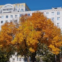 В городе осень... :: Павел Петров