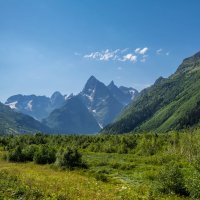 *** :: Владимир Жуков