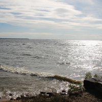 Безбрежье Финского залива... :: Tatiana Markova