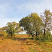 По дороге к реке :: Андрей Снегерёв