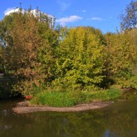 Парк в пойме реки Городни :: Oleg4618 Шутченко