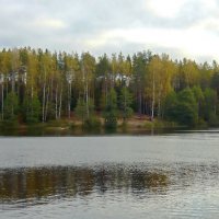 Осень у озера :: Вера Щукина