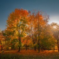 Осень :: Евгений Анисимов