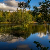 Теплая Подмосковная Осень # V :: Андрей Дворников