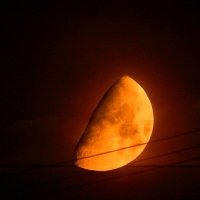 Луна, закат :: Alisa Koteva 