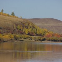 Река Нерча осенью. :: Леонид 