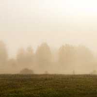 Розовый туман :: Александр 
