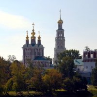 Ново-Девичий монастырь :: Лютый Дровосек