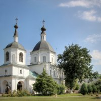 Церковь Донской Богоматери :: Andrey Lomakin
