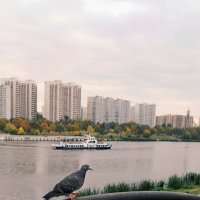 В Марьино. Москва. :: Лютый Дровосек