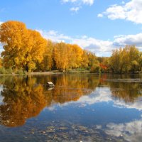 Осень на озере :: владимир тимошенко 