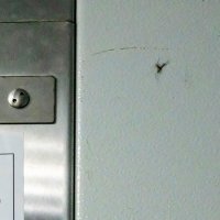 Убийство в лифте :: Валерий Иванович