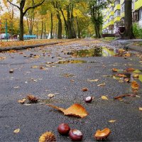 Осень :: Геннадий Худолеев Худолеев