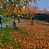 Октябрь...Дождь и золото листвы! :: Владимир 