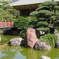Японский сад ... :: Алёна Савина