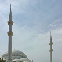 Центральная мечеть :: Владимир Соколов (svladmir)