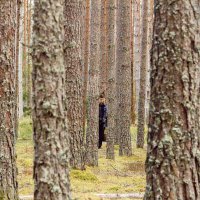 В лесу :: Алексей Булак