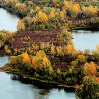 Палитра осени. :: Николай Рубцов