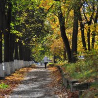 Осенняя зарисовка. :: Михаил Колосов 