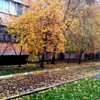 Осень в городе :: Елена Семигина