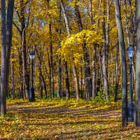 В осеннем парке :: Aleksey Afonin