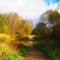 Осенний парк. :: Милешкин Владимир Алексеевич 