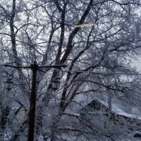 снег во дворе :: Ольга Конькова