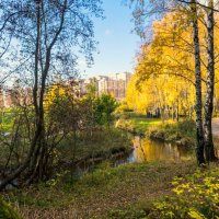 Осень в парке Новый Оккервиль :: Юрий Велицкий