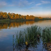 Осеннее фото :: Владимир Жуков