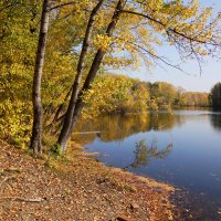 На берегу осени :: Наталия Григорьева